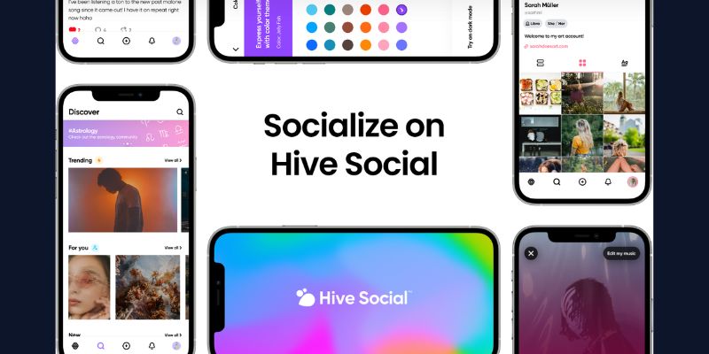 Hive Social Twitter X Alternatives